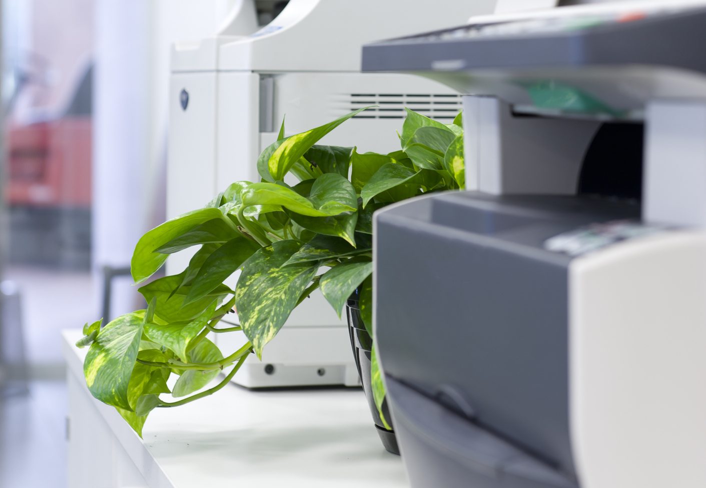 EcoFriendly Printing Tips OE Canada Inc. Blog